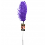 SPORTS SHEETS Ostrich Feather Tickler Purple